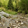 Potok Kamionka